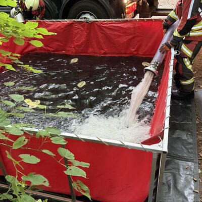Rund 80 Kameradinnen und Kameraden der Feuerwehren Ibbenb&uuml;ren und H&ouml;rstel probten am Samstagvormittag im Teutoburger Wald den Ernstfall: das Vorgehen im Falle eines Waldbrandes. (Foto: Stadt Ibbenb&uuml;ren / Max Bertemes)