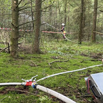 Rund 80 Kameradinnen und Kameraden der Feuerwehren Ibbenb&uuml;ren und H&ouml;rstel probten am Samstagvormittag im Teutoburger Wald den Ernstfall: das Vorgehen im Falle eines Waldbrandes. (Foto: Stadt Ibbenb&uuml;ren / Max Bertemes)