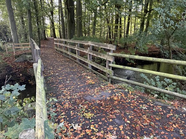 20261027 - Holzbr&uuml;cke an der Ringstra&szlig;e kurzzeitig gesperrt