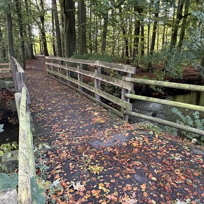 20261027 - Holzbr&uuml;cke an der Ringstra&szlig;e kurzzeitig gesperrt