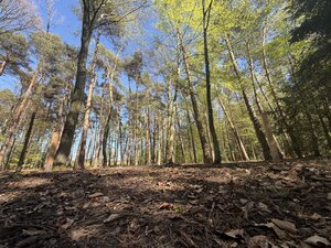 20260427 - Letzte Ruhe im Einklang mit der Natur