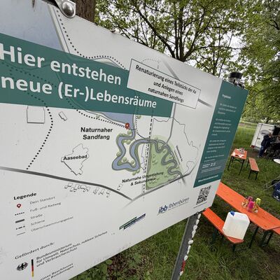Was bedeutet es, wenn ein Fluss naturnah umgestaltet wird? Dieser Frage gingen die Teilnehmenden bei einer Beteiligungsveranstaltung zum geplanten Umbau des Sandfangs am Aasee nach. (Foto: Stadt Ibbenb&uuml;ren / Max Bertemes)