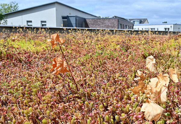 20260723 - W&auml;rmepumpen und Hitzeschutz: Klimafonds des Kreises Steinfurt startet neue F&ouml;rderphase