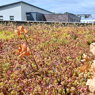 20260723 - W&auml;rmepumpen und Hitzeschutz: Klimafonds des Kreises Steinfurt startet neue F&ouml;rderphase