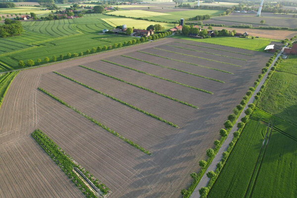 20260729 - Feldtag zu Agroforst und Direktsaat am 8. September in Steinfurt